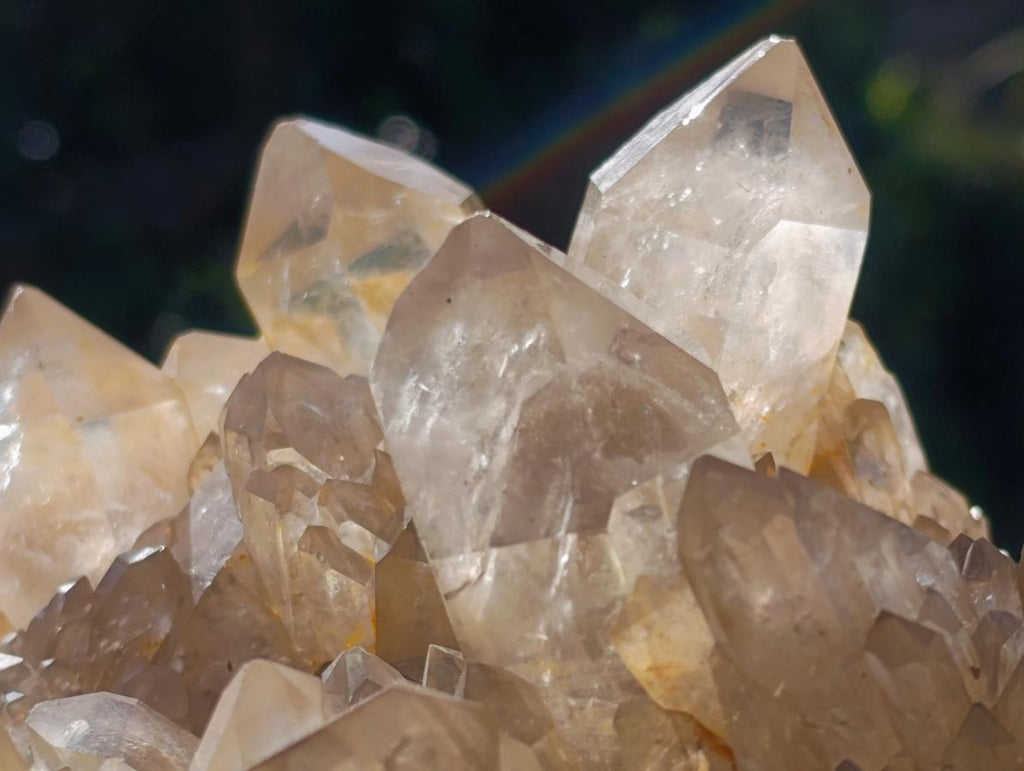 Natural XL Cascading Clear Yellow Citrine Quartz Cluster x 1 From Luena, Congo - Toprock Gemstones and Minerals 
