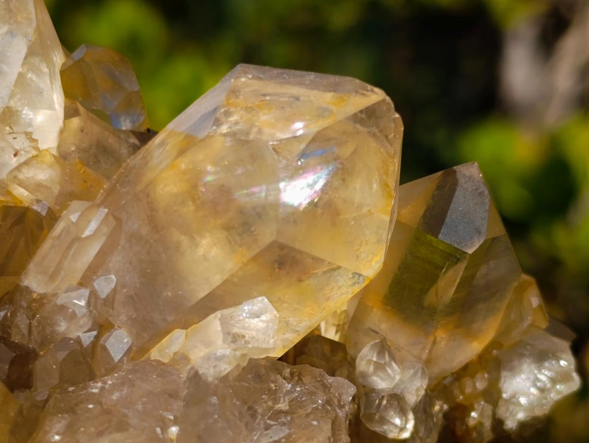 Natural XL Cascading Clear Yellow Citrine Quartz Cluster x 1 From Luena, Congo - Toprock Gemstones and Minerals 