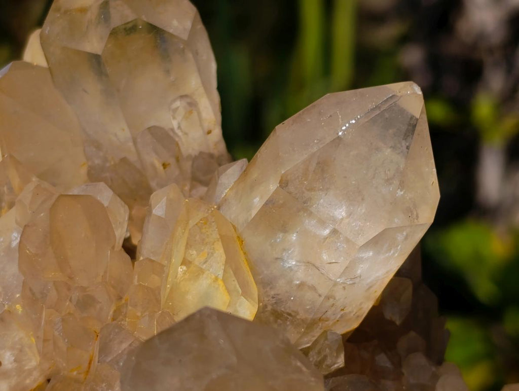 Natural XL Cascading Clear Yellow Citrine Quartz Cluster x 1 From Luena, Congo - Toprock Gemstones and Minerals 