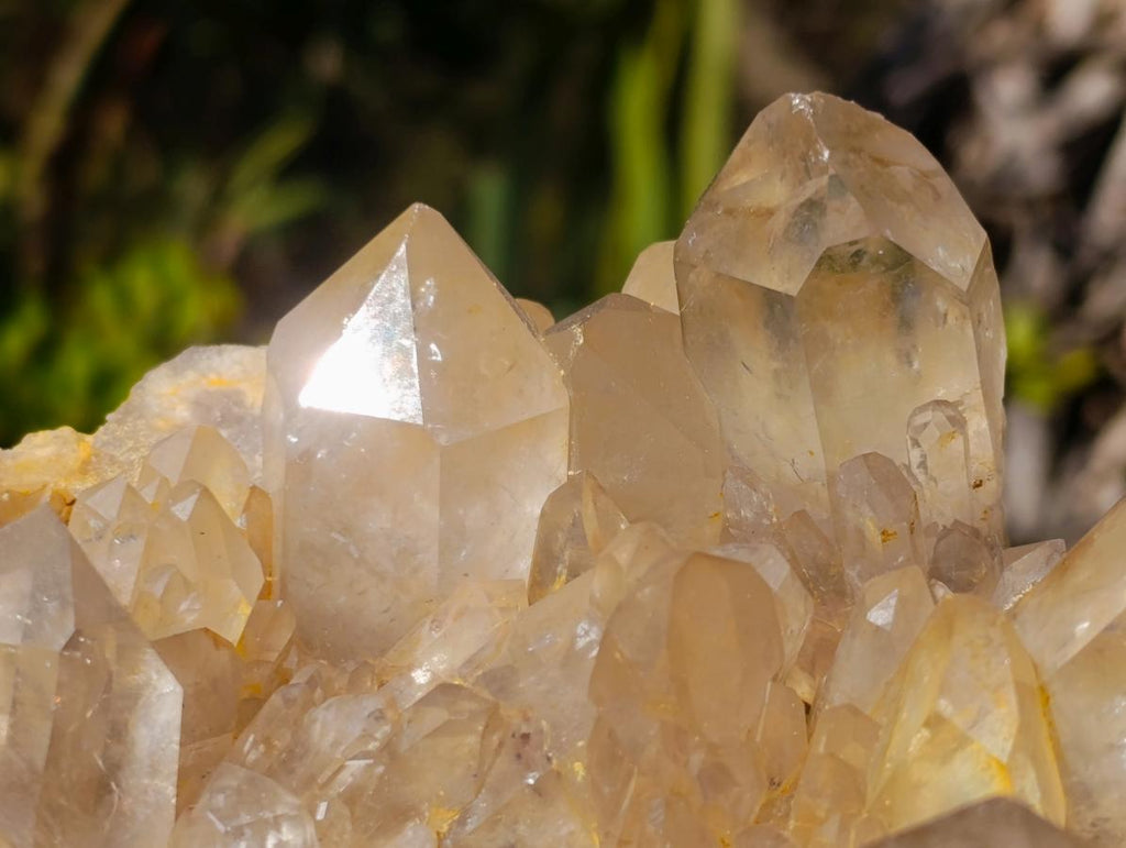 Natural XL Cascading Clear Yellow Citrine Quartz Cluster x 1 From Luena, Congo - Toprock Gemstones and Minerals 