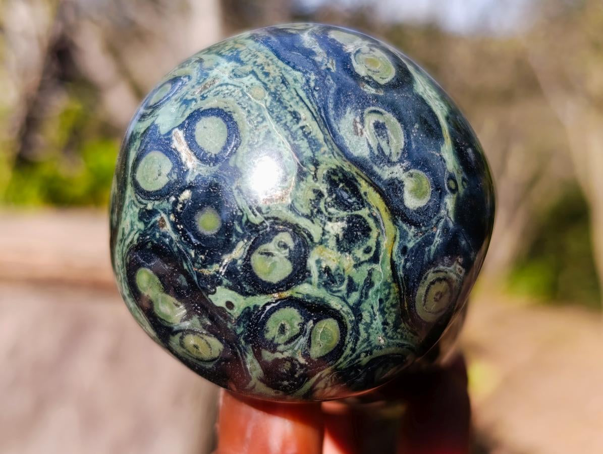 Polished Stromatolite "Kambaba Jasper" Mushrooms x 6 From Katsepy, Madagascar - Toprock Gemstones and Minerals 