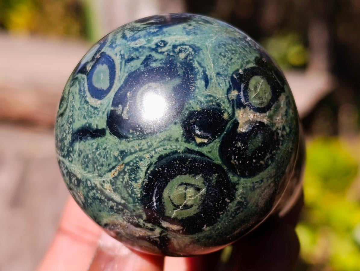 Polished Stromatolite "Kambaba Jasper" Mushrooms x 6 From Katsepy, Madagascar - Toprock Gemstones and Minerals 