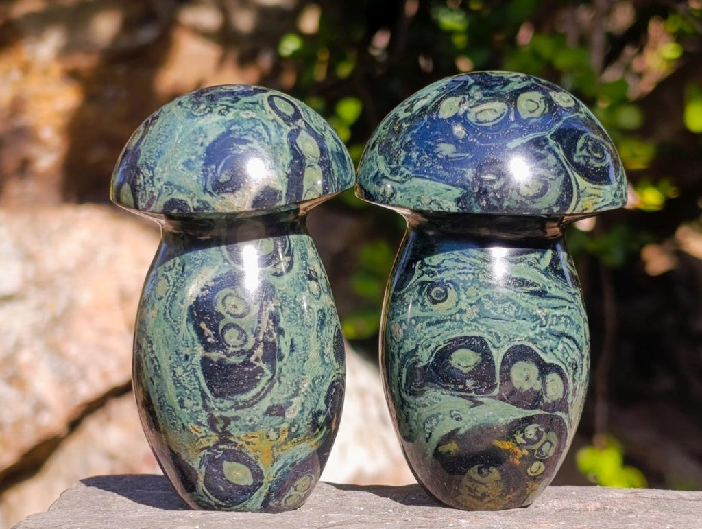 Polished Stromatolite "Kambaba Jasper" Mushrooms x 6 From Katsepy, Madagascar - Toprock Gemstones and Minerals 