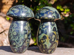Polished Stromatolite "Kambaba Jasper" Mushrooms x 6 From Katsepy, Madagascar - Toprock Gemstones and Minerals 