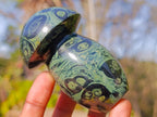 Polished Stromatolite "Kambaba Jasper" Mushrooms x 6 From Katsepy, Madagascar - Toprock Gemstones and Minerals 