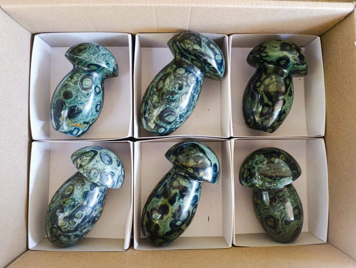 Polished Stromatolite "Kambamba Jasper" Mushrooms x 6 From Katsepy, Madagascar