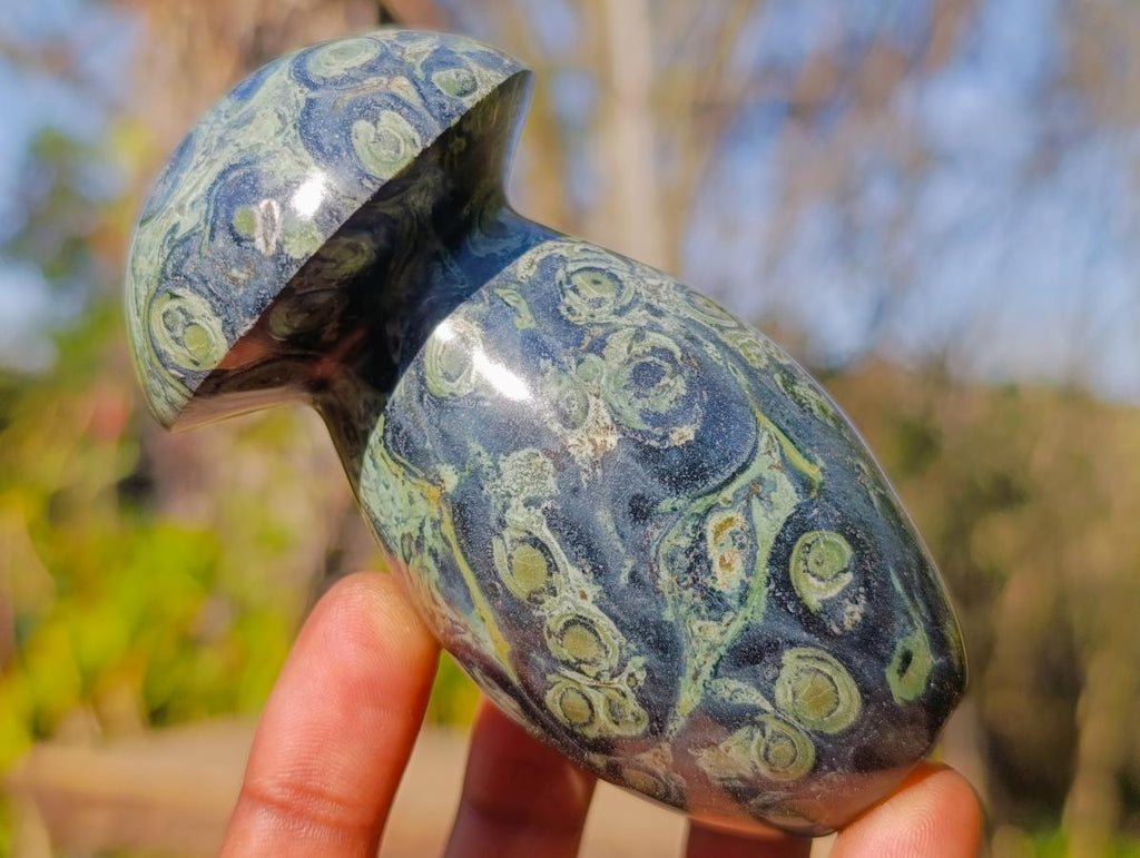 Polished Stromatolite "Kambaba Jasper" Mushrooms x 6 From Katsepy, Madagascar - Toprock Gemstones and Minerals 