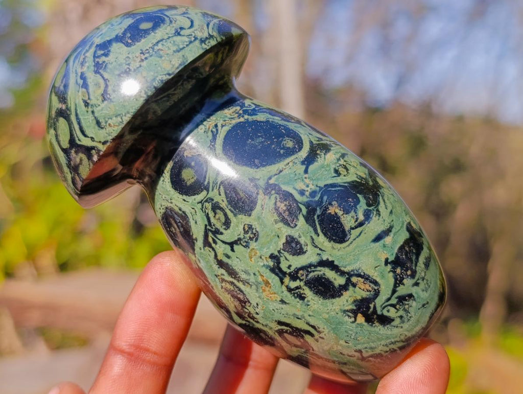 Polished Stromatolite "Kambaba Jasper" Mushrooms x 6 From Katsepy, Madagascar - Toprock Gemstones and Minerals 