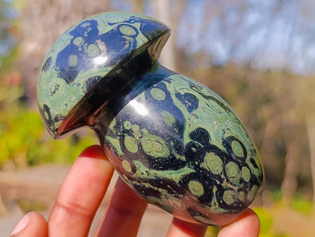 Polished Stromatolite "Kambaba Jasper" Mushrooms x 6 From Katsepy, Madagascar - Toprock Gemstones and Minerals 