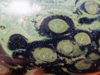 Polished Stromatolite "Kambaba Jasper" Mushrooms x 6 From Katsepy, Madagascar - Toprock Gemstones and Minerals 