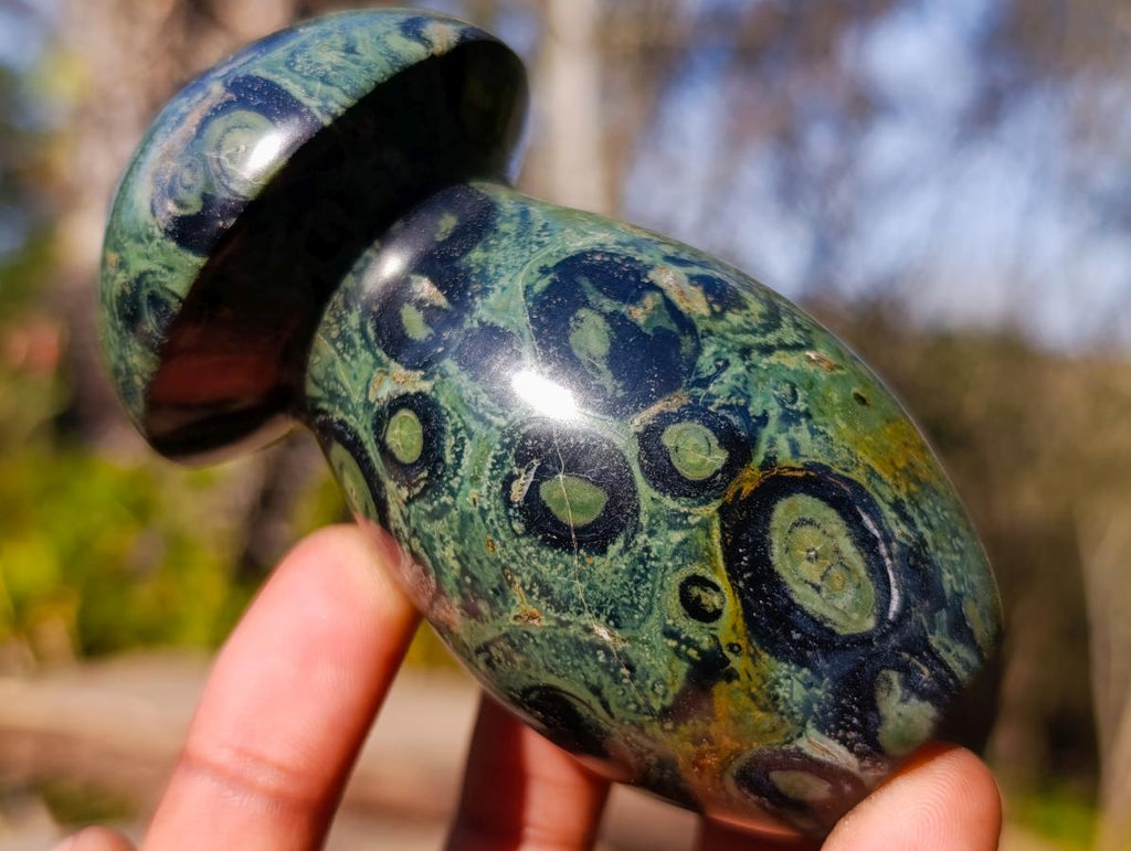 Polished Stromatolite "Kambaba Jasper" Mushrooms x 6 From Katsepy, Madagascar - Toprock Gemstones and Minerals 