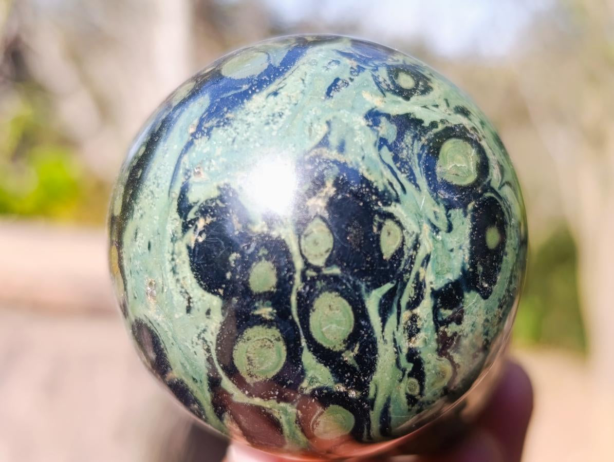 Polished Stromatolite "Kambaba Jasper" Mushrooms x 6 From Katsepy, Madagascar - Toprock Gemstones and Minerals 
