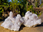 Natural Lilac Drusy Spirit Amethyst Finger Clusters x 4 From Boekenhouthoek, South Africa - Toprock Gemstones and Minerals 