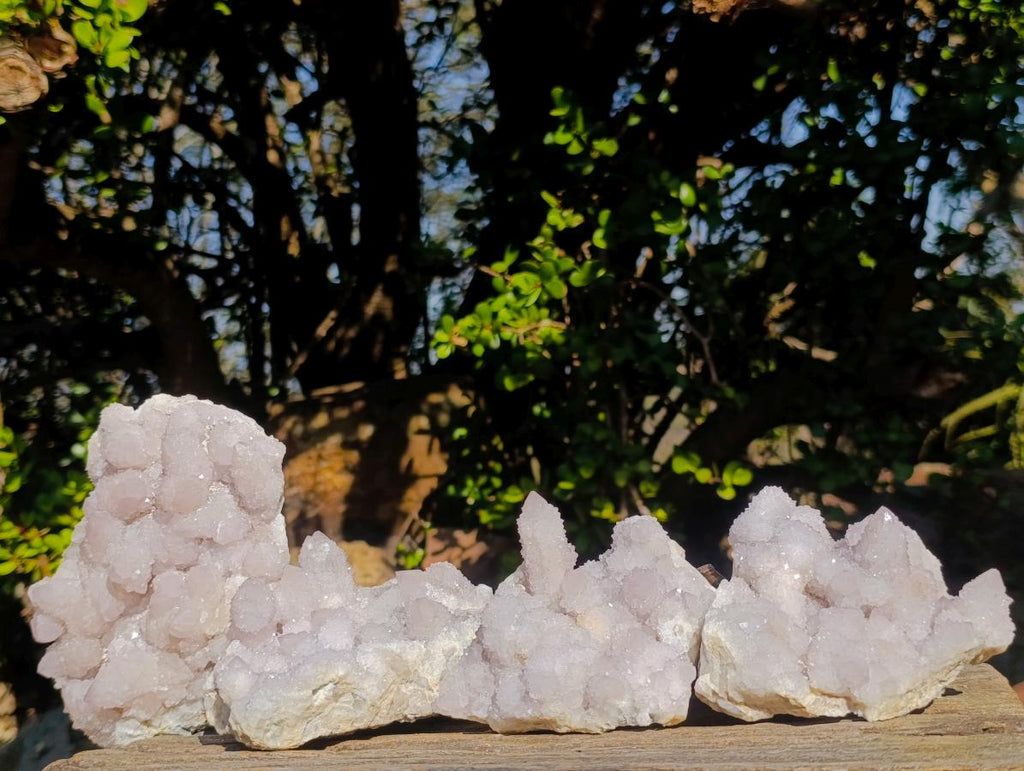 Natural Lilac Drusy Spirit Amethyst Finger Clusters x 4 From Boekenhouthoek, South Africa - Toprock Gemstones and Minerals 
