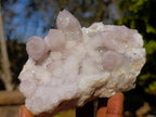 Natural Lilac Drusy Spirit Amethyst Finger Clusters x 4 From Boekenhouthoek, South Africa - Toprock Gemstones and Minerals 