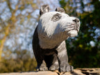 Hand Made Large Panda Wonderstone Carving x 1 From Zimbabwe - Toprock Gemstones and Minerals 