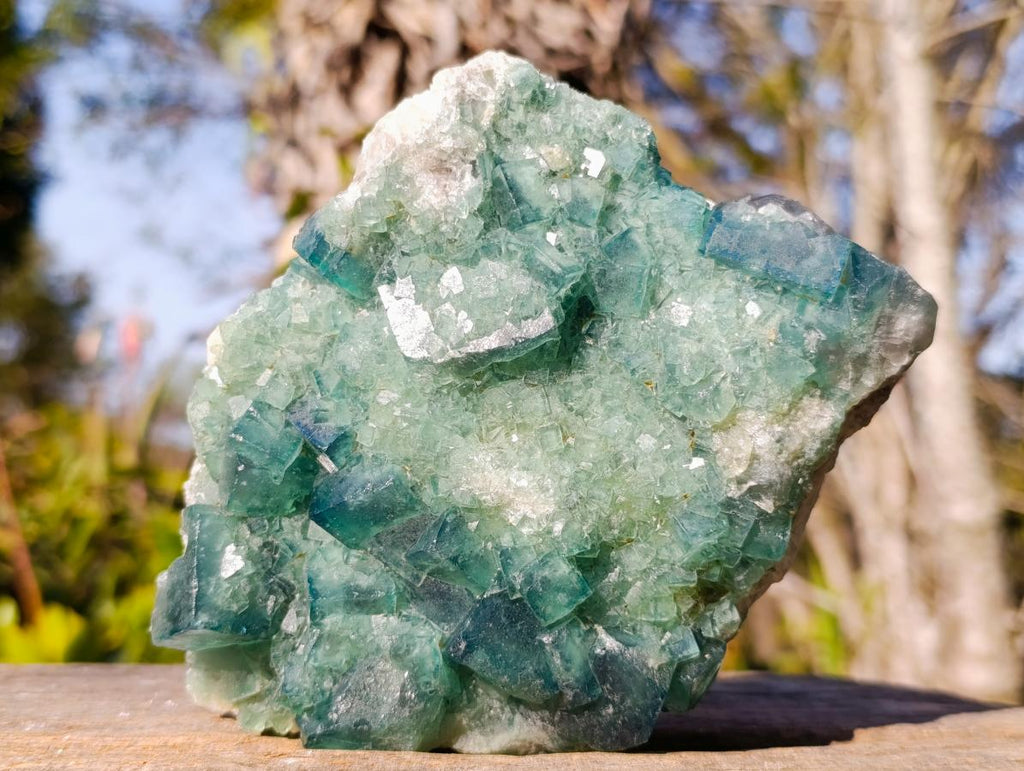 Natural Green Cubic Fluorite Specimens x 2 From Mandrosonoro, Madagascar - Toprock Gemstones and Minerals 