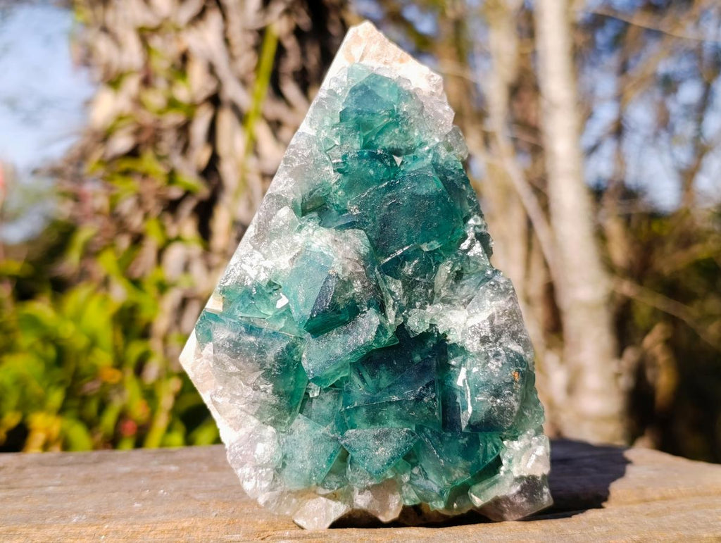 Natural Green Cubic Fluorite Specimens x 2 From Mandrosonoro, Madagascar - Toprock Gemstones and Minerals 