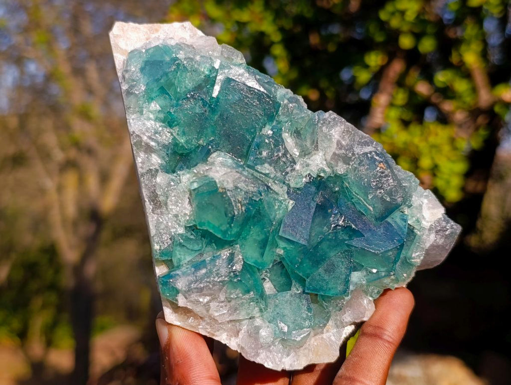 Natural Green Cubic Fluorite Specimens x 2 From Mandrosonoro, Madagascar - Toprock Gemstones and Minerals 