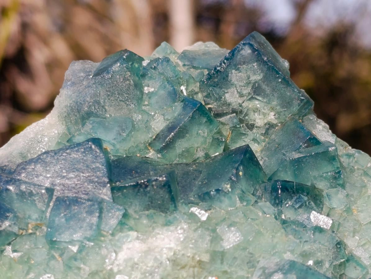 Natural Green Cubic Fluorite Specimens x 2 From Mandrosonoro, Madagascar - Toprock Gemstones and Minerals 