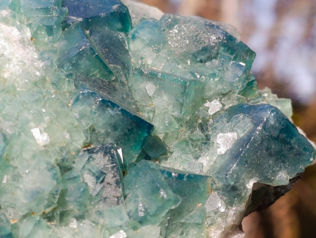 Natural Green Cubic Fluorite Specimens x 2 From Mandrosonoro, Madagascar - Toprock Gemstones and Minerals 