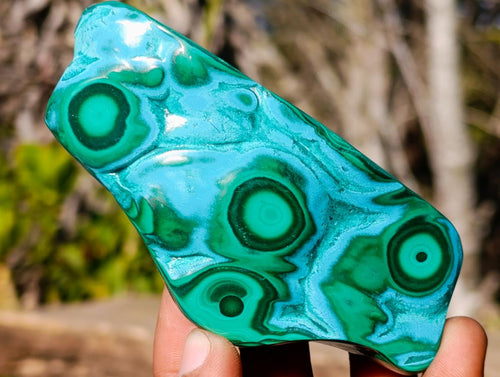 Polished Malacolla Free Forms x 6 From Kulukuluku, Congo - Toprock Gemstones and Minerals 