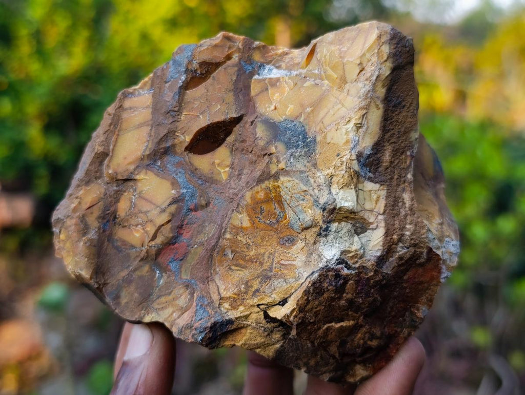 Natural Nguni Jasper Cobbed Specimens x 12 From Northern Cape, South Africa - Toprock Gemstones and Minerals 