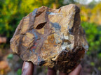 Natural Nguni Jasper Cobbed Specimens x 12 From Northern Cape, South Africa - Toprock Gemstones and Minerals 