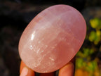Polished Gemmy Rose Quartz Palm Stones x 24 From Madagascar - Toprock Gemstones and Minerals 
