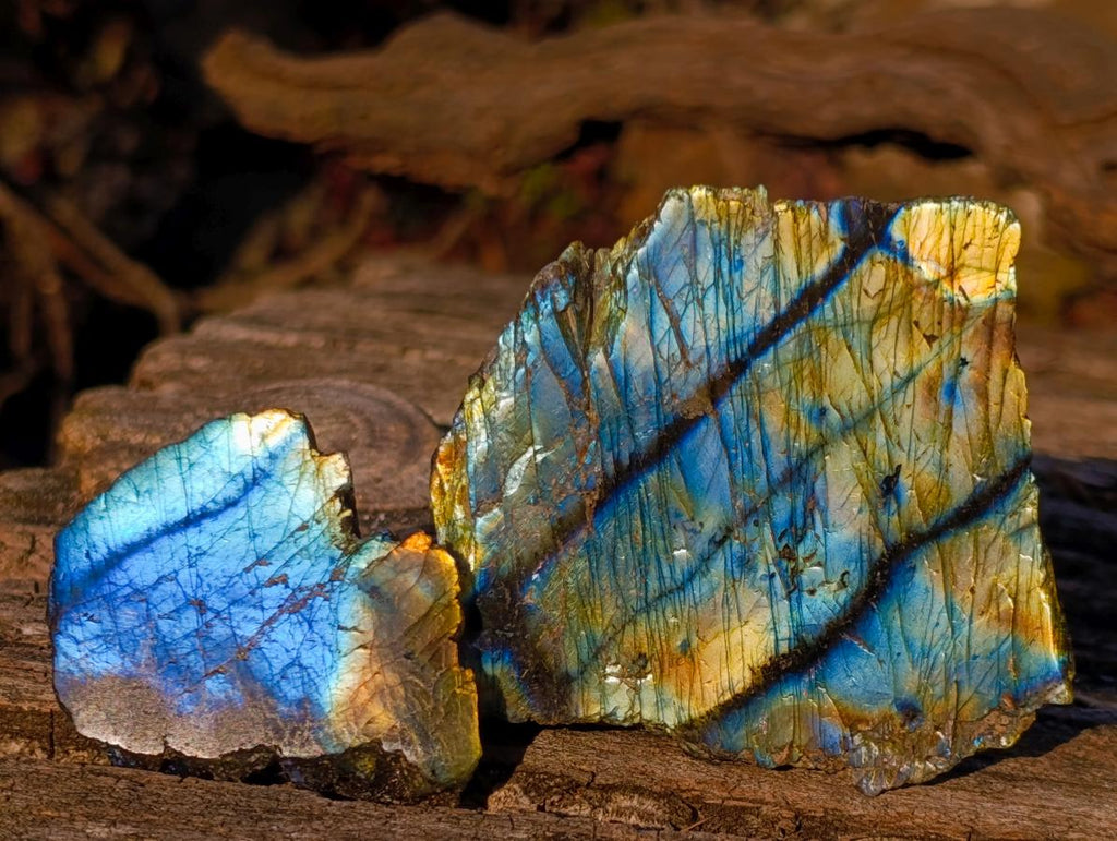 Polished One Side Labradorite Slices x 24 From Madagascar - Toprock Gemstones and Minerals 