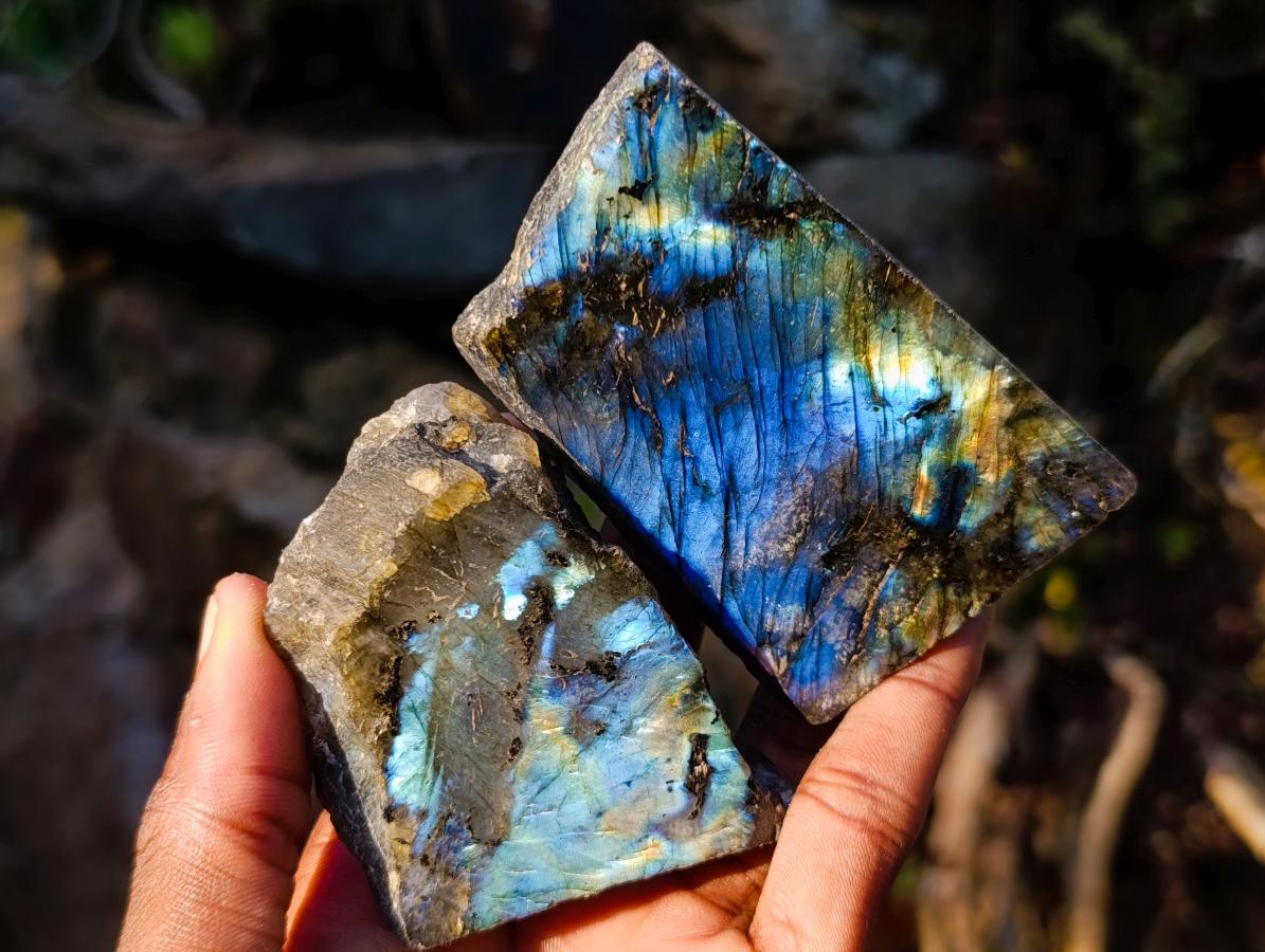 Polished One Side Labradorite Slices x 24 From Madagascar - Toprock Gemstones and Minerals 