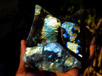 Polished One Side Labradorite Slices x 24 From Madagascar - Toprock Gemstones and Minerals 