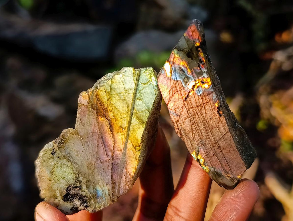 Polished One Side Labradorite Slices x 24 From Madagascar - Toprock Gemstones and Minerals 