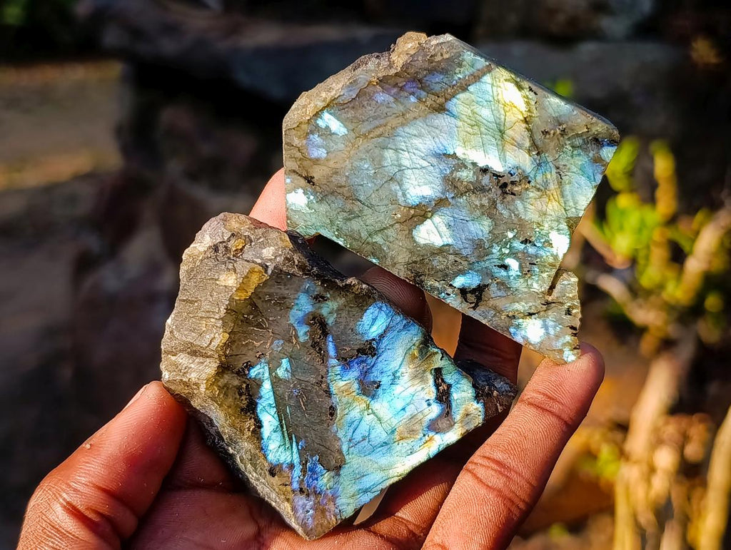 Polished One Side Labradorite Slices x 24 From Madagascar - Toprock Gemstones and Minerals 