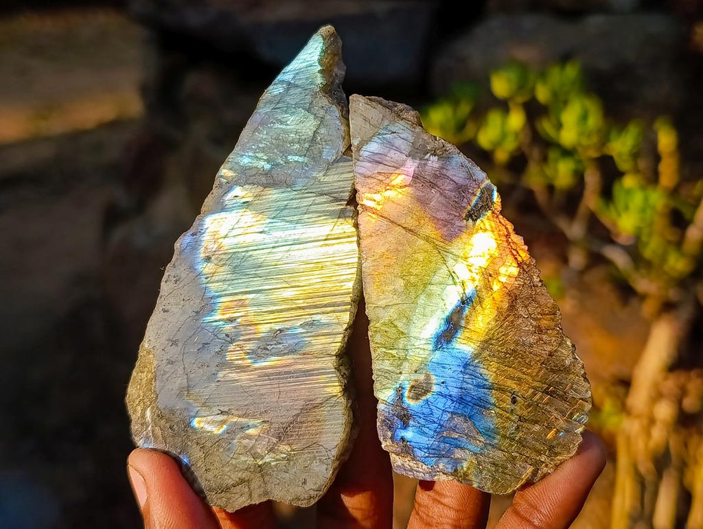 Polished One Side Labradorite Slices x 24 From Madagascar - Toprock Gemstones and Minerals 
