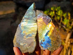 Polished One Side Labradorite Slices x 24 From Madagascar - Toprock Gemstones and Minerals 