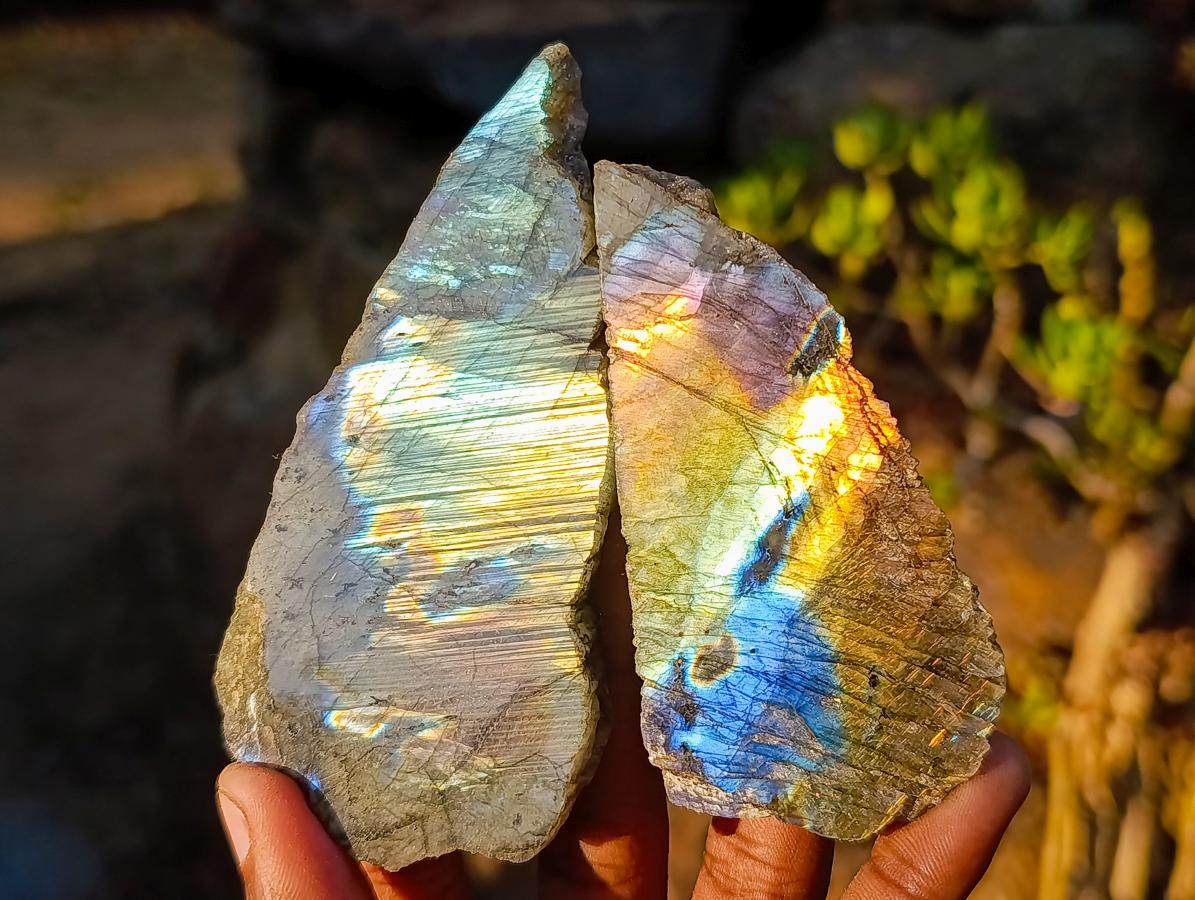Polished One Side Labradorite Slices x 24 From Madagascar - Toprock Gemstones and Minerals 