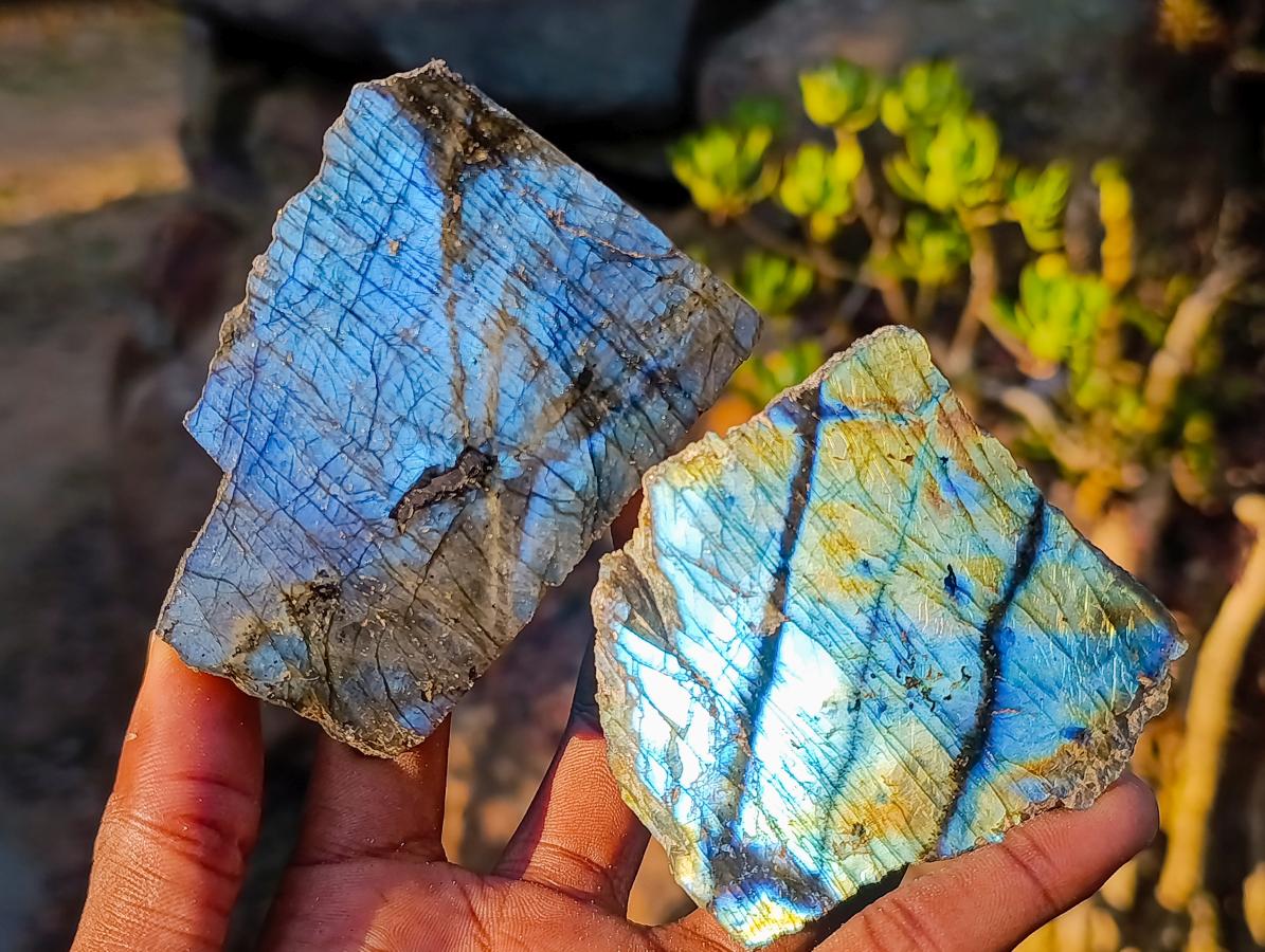 Polished One Side Labradorite Slices x 24 From Madagascar - Toprock Gemstones and Minerals 