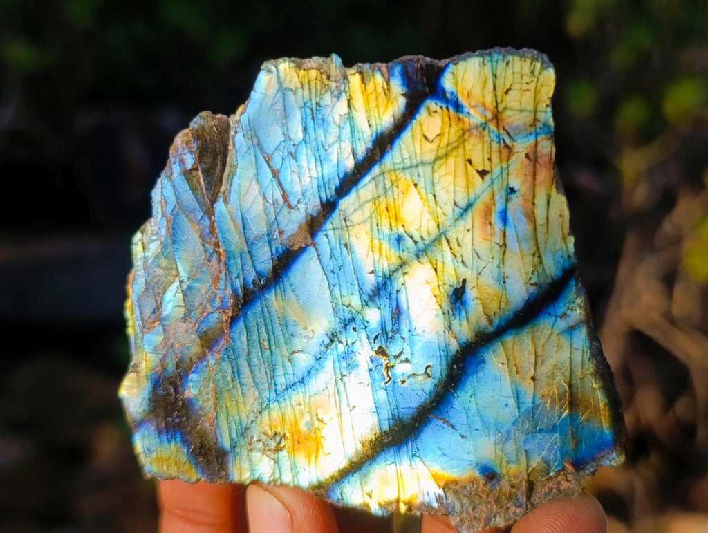 Polished One Side Labradorite Slices x 24 From Madagascar - Toprock Gemstones and Minerals 