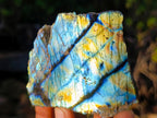 Polished One Side Labradorite Slices x 24 From Madagascar - Toprock Gemstones and Minerals 