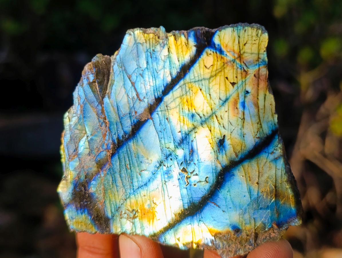 Polished One Side Labradorite Slices x 24 From Madagascar - Toprock Gemstones and Minerals 