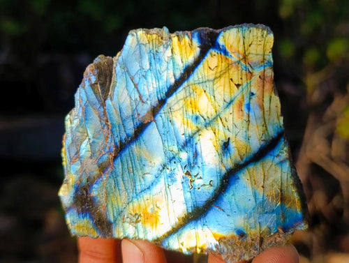 Polished One Side Labradorite Slices x 24 From Madagascar - Toprock Gemstones and Minerals 