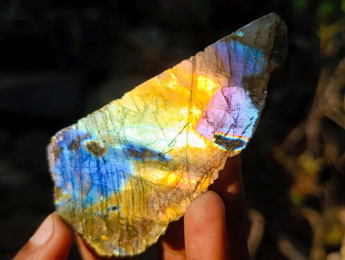 Polished One Side Labradorite Slices x 24 From Madagascar - Toprock Gemstones and Minerals 