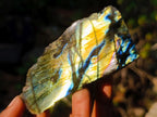 Polished One Side Labradorite Slices x 24 From Madagascar - Toprock Gemstones and Minerals 