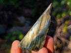Polished One Side Labradorite Slices x 24 From Madagascar - Toprock Gemstones and Minerals 