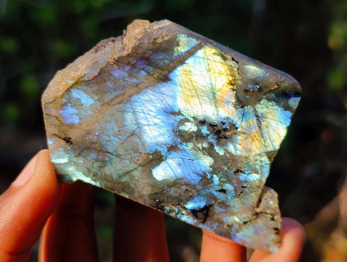 Polished One Side Labradorite Slices x 24 From Madagascar - Toprock Gemstones and Minerals 