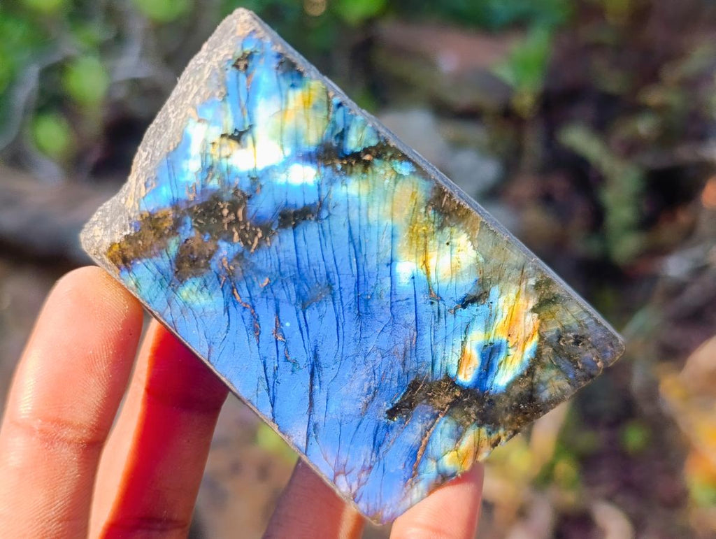 Polished One Side Labradorite Slices x 24 From Madagascar - Toprock Gemstones and Minerals 