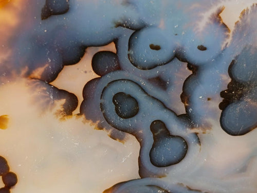 Polished Large Dendritic Psilomelane Agate Free Forms x 12 From Moralambo, Madagascar - Toprock Gemstones and Minerals 