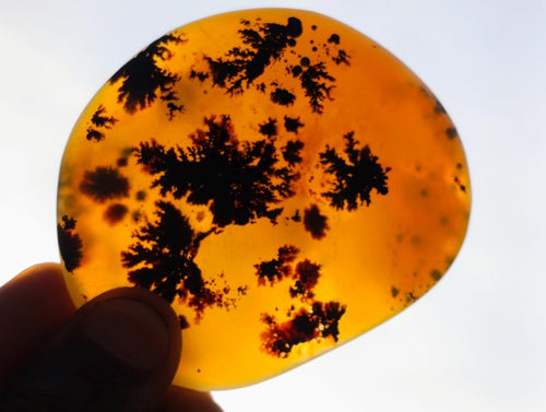 Polished Large Dendritic Psilomelane Agate Free Forms x 12 From Moralambo, Madagascar - Toprock Gemstones and Minerals 