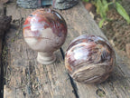Polished Red Podocarpus Petrified Wood Spheres x 2 From Mahajanga, Madagascar - Toprock Gemstones and Minerals 